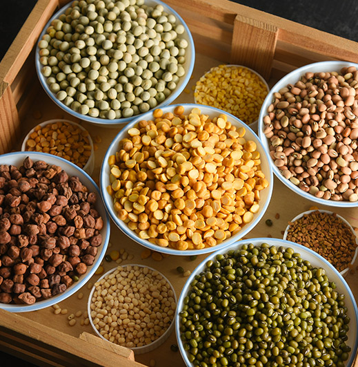 Pulses Manufacturer in India