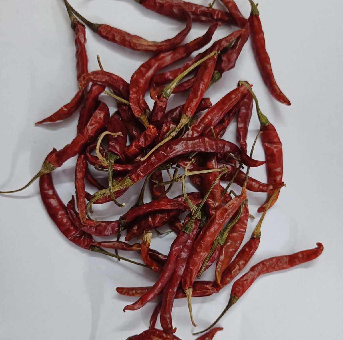 Red chilli Teja Best