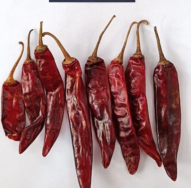 Red chillies Wonder Hot