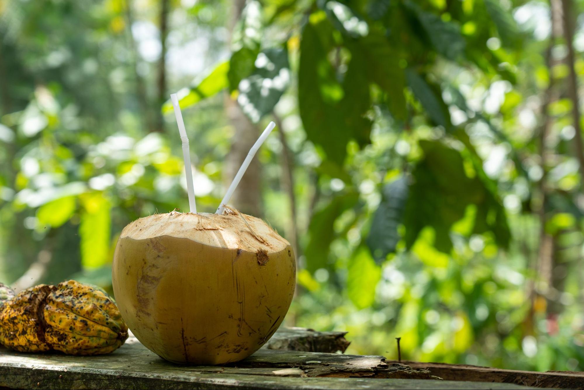 Health Benefits of Fresh Coconut Water