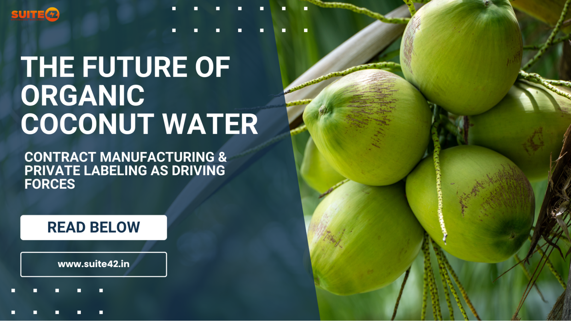 Organic Coconut Water: Contract Manufacturing & Private Labelling
