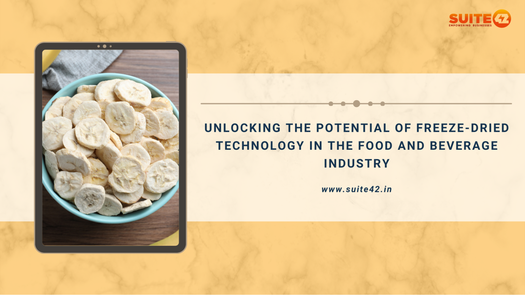 A guide to Freee-Dried Technology in the Food and Beverage Industry