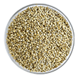 Pearl Millet