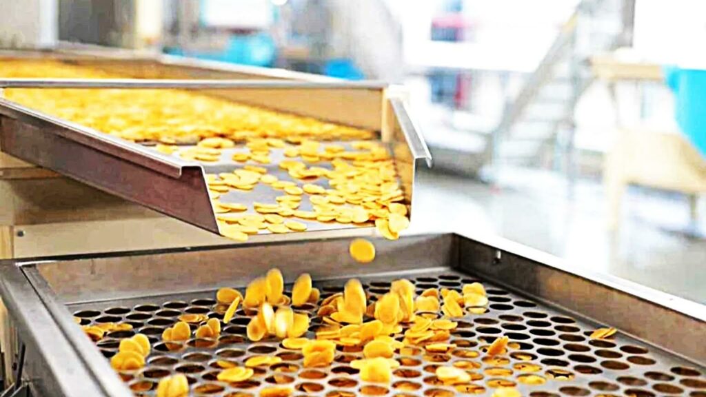 export-ready Extruded snacks manufacturing - Extruded Snacks market